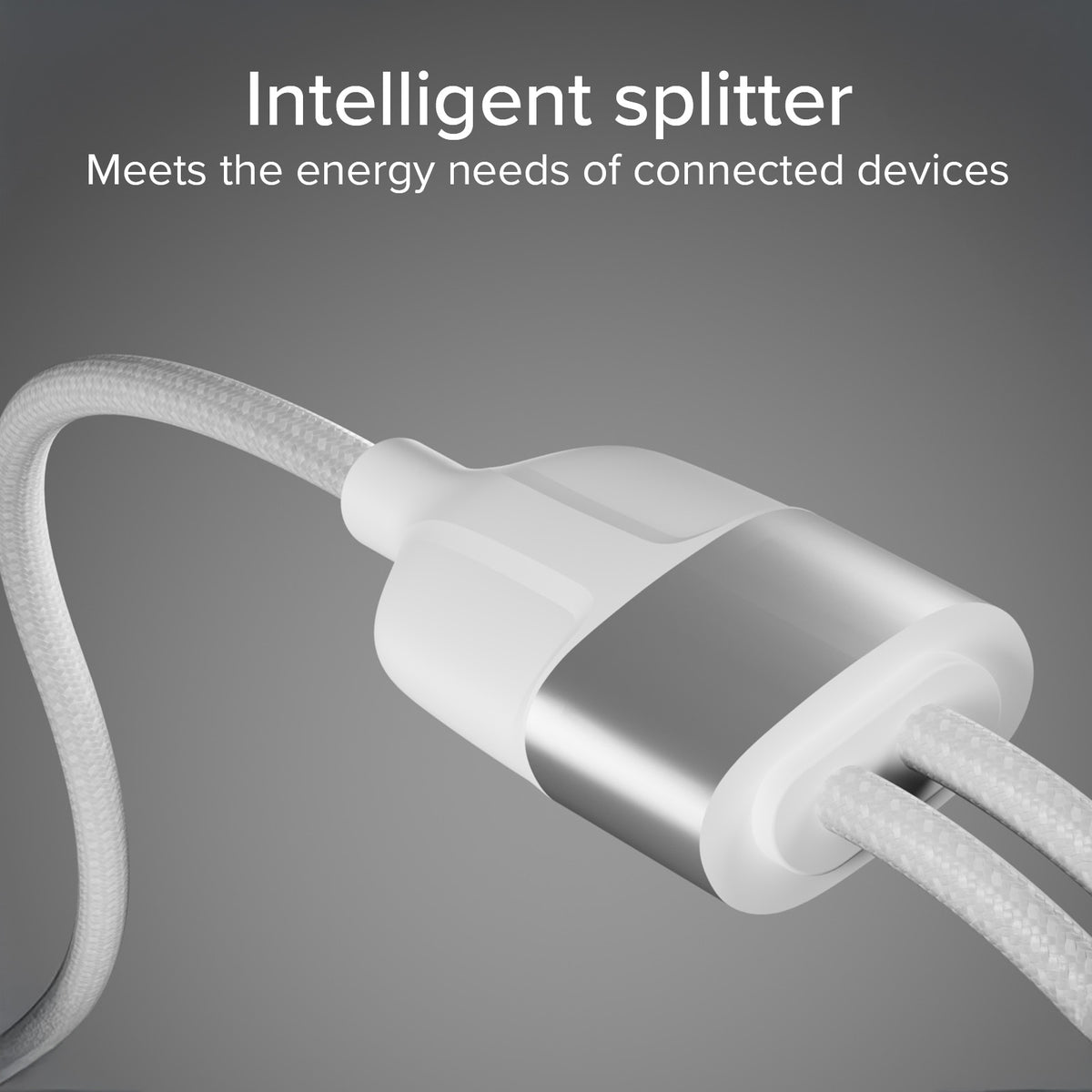 Répartiteur USB Type-C avec double sortie USB-C 60W