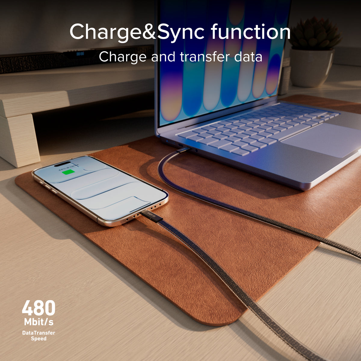 Câble fin pour charge et données avec connecteurs USB-C 2.0, 1 m