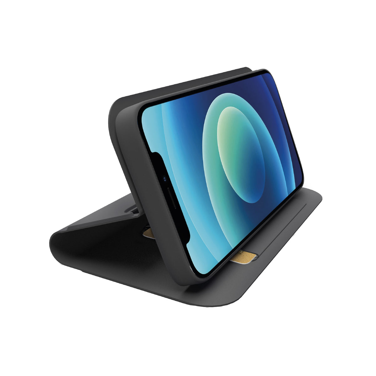 Etui de protection Wallet Smooth pour iPhone 12/12 Pro