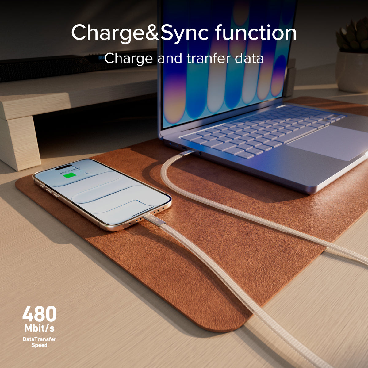 Câble fin pour charge et données avec connecteurs USB-C 2.0, 1 m